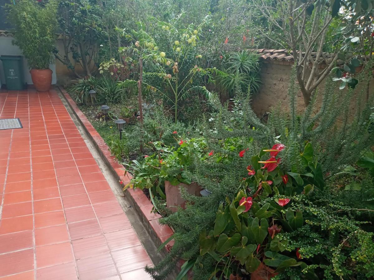 Hostal El Pino فيلا دي ليفا المظهر الخارجي الصورة