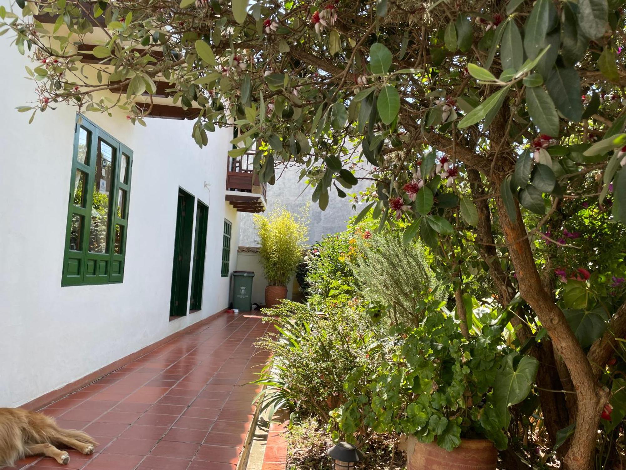 Hostal El Pino فيلا دي ليفا المظهر الخارجي الصورة